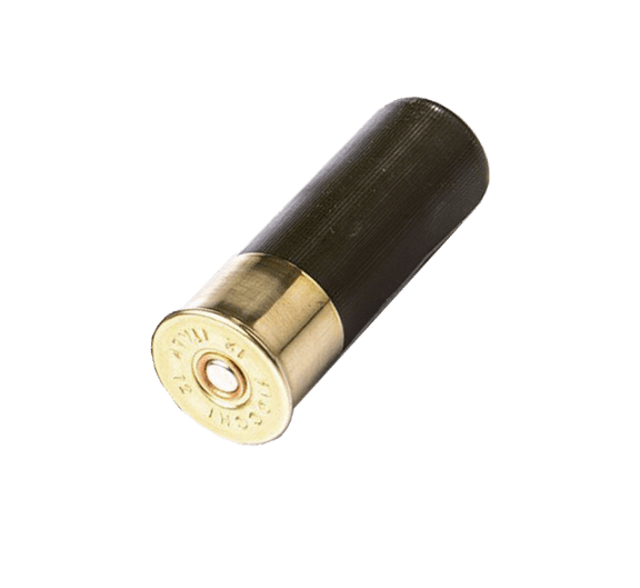 bullet