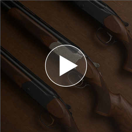prev-video